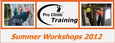 pro climb summer tree climbing workshops