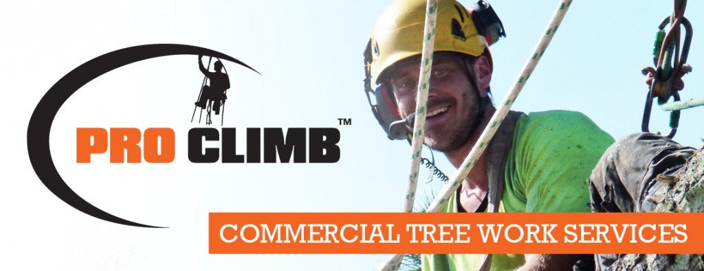 ProClimb Slide_Commercial September Arborist News