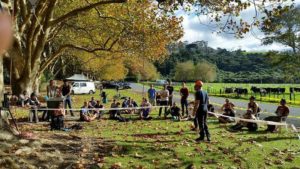 2016 Auckland Regional Arborist Competition 5