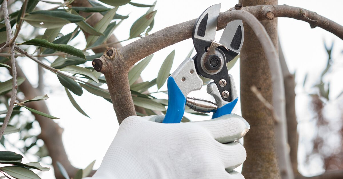 Tree pruning cost