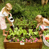 Creating an edible garden