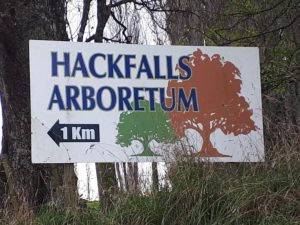 The sign to the Hackfalls arboretum once you are past the pub in Tiniroto.