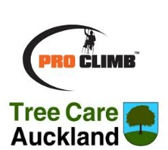 Pro Climb Tree Care Auckland logo3