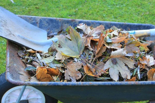 winter leaves to compost 1200x628 1