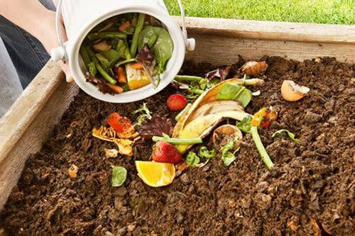 winter vegetable garden compost tips
